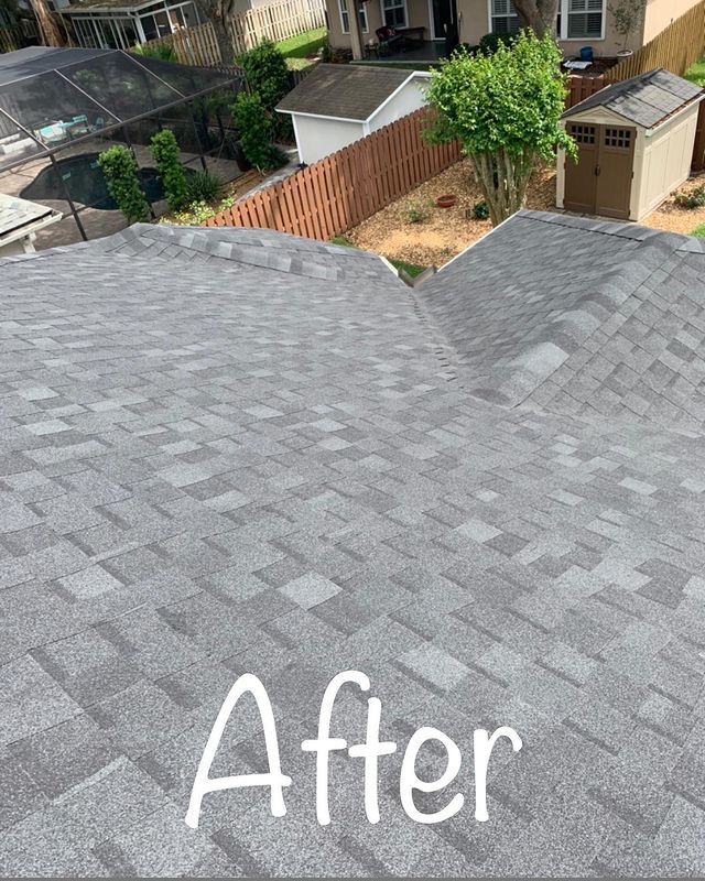 Shingles Roof — Jacksonville, FL — Triton Roofing and Restoration