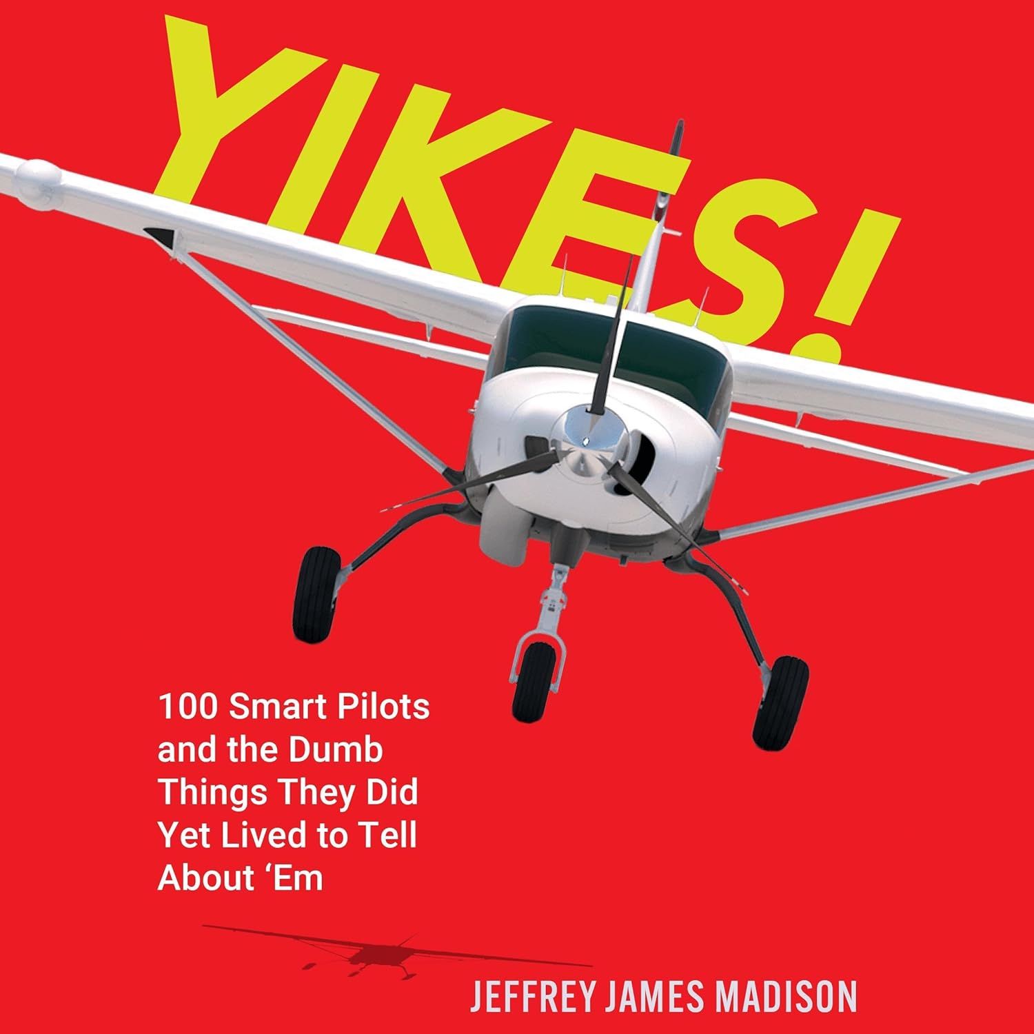 A book called yikes by jeffrey james madison
