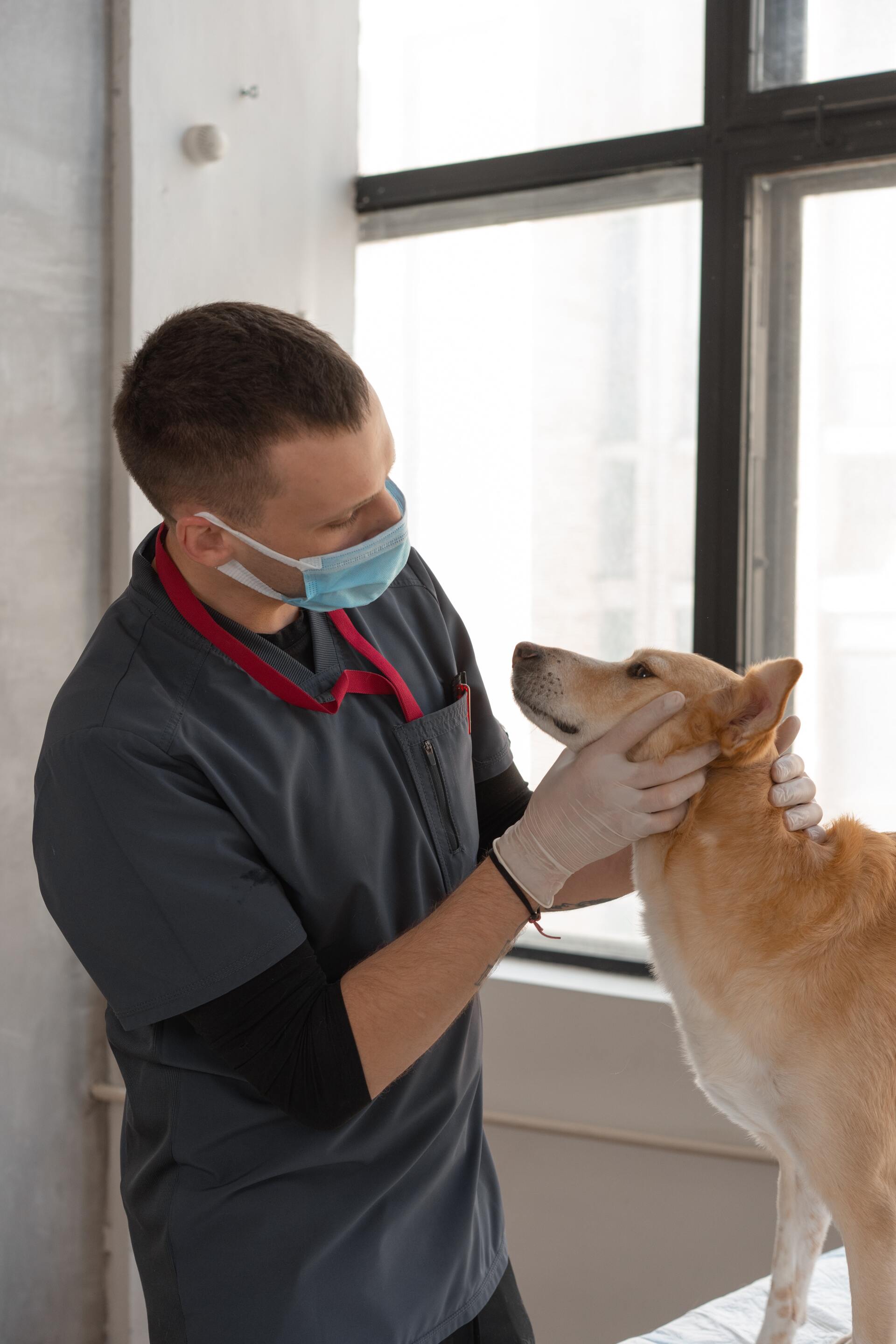 Veterinary Recruiter