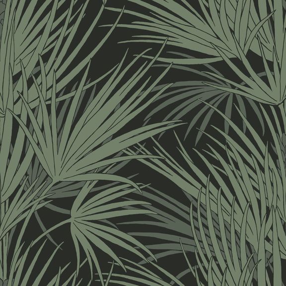 Green palm leaves on a dark background.
