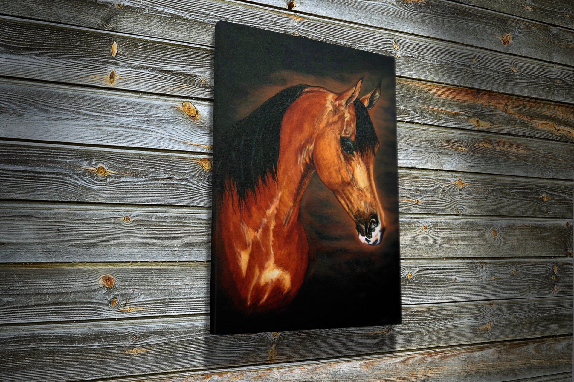 SHOP EQUINE PORTRAITS