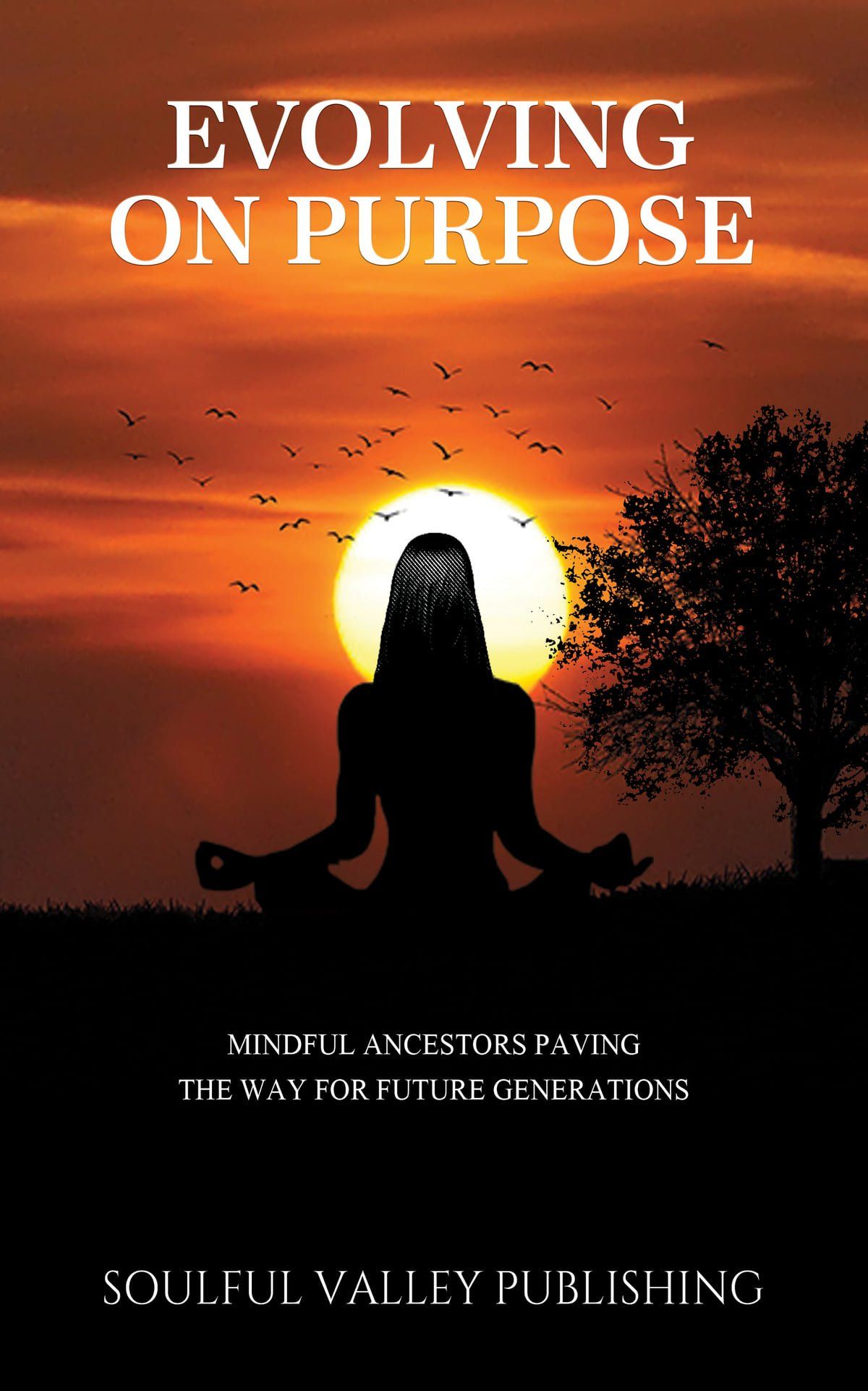 A book called evolving on purpose by soulful valley publishing