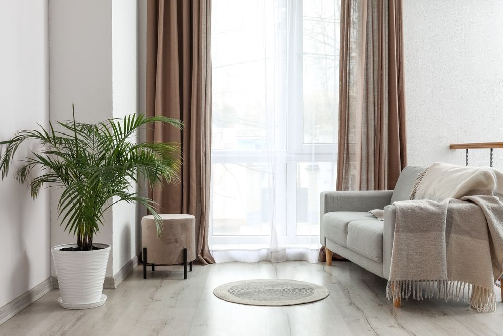 A Living Room With A Couch, Potted Plant, And Curtains — Summerland Screens & Awnings In Ballina, NSW