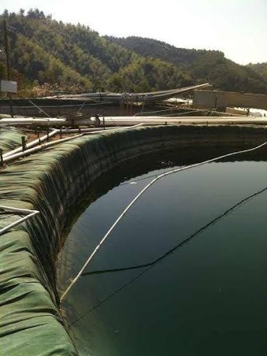 Draining Excavation Site