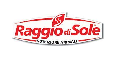 raggio di sole-logo