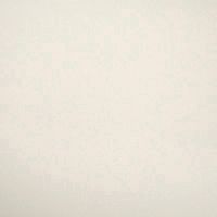 Gray White  shutter color options