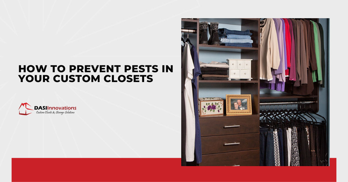 How to Prevent Pests in Your Custom Closets