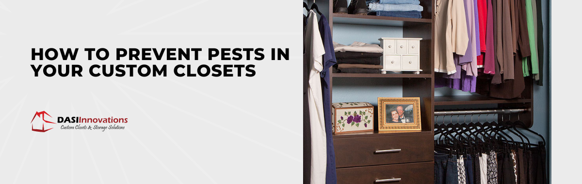 How to Prevent Pests in Your Custom Closets