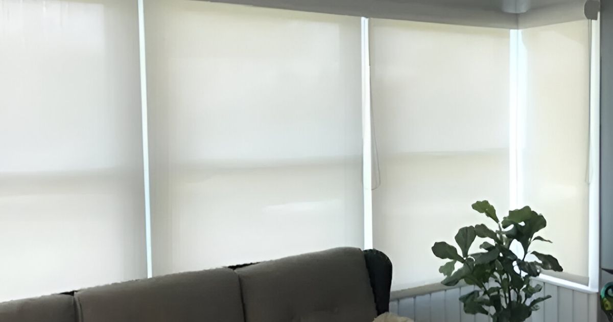 A living room with a couch and a plant in front of a window with blinds.