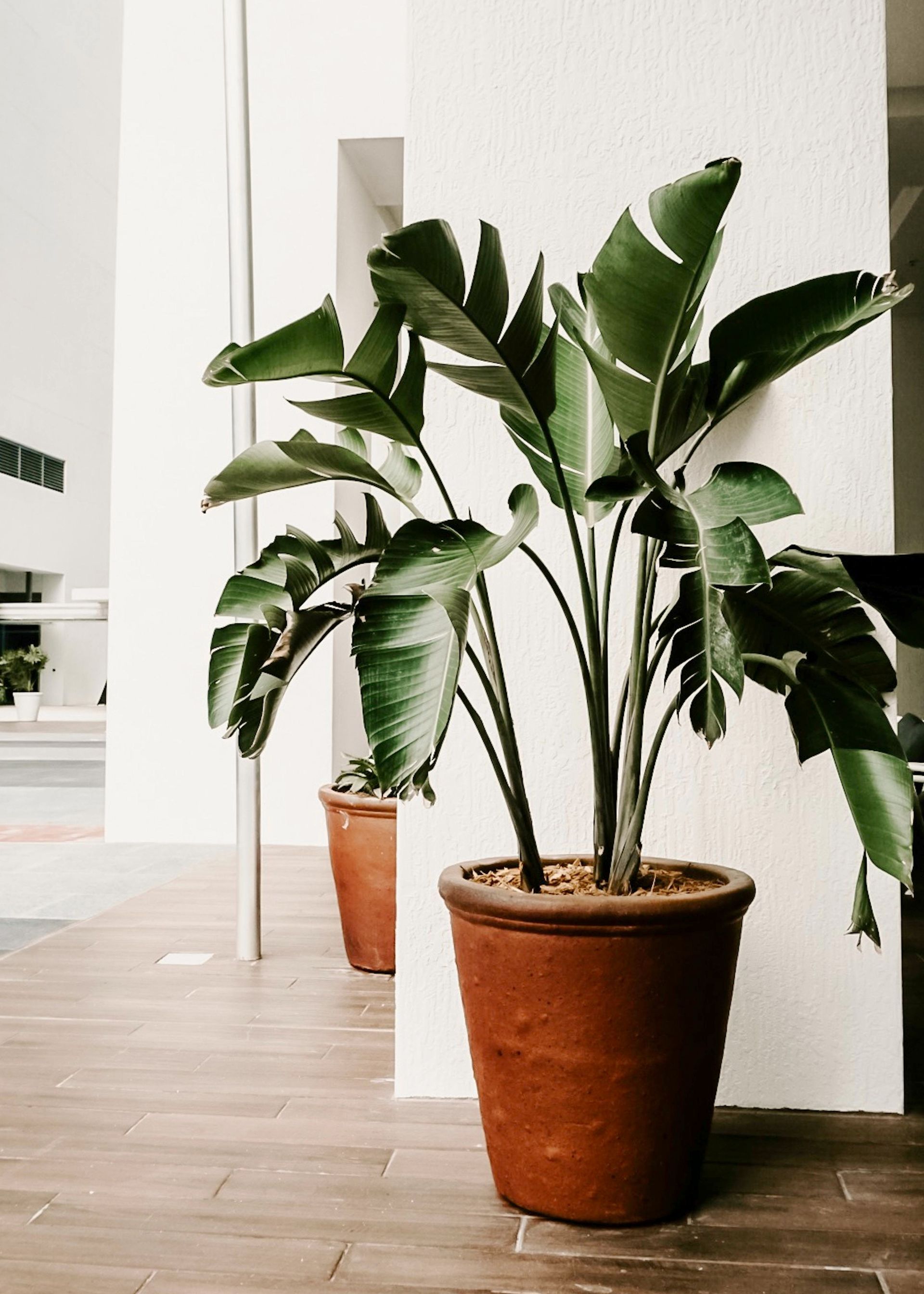 Split-level house with a brick and beige exterior, wooden stairs, and a driveway.