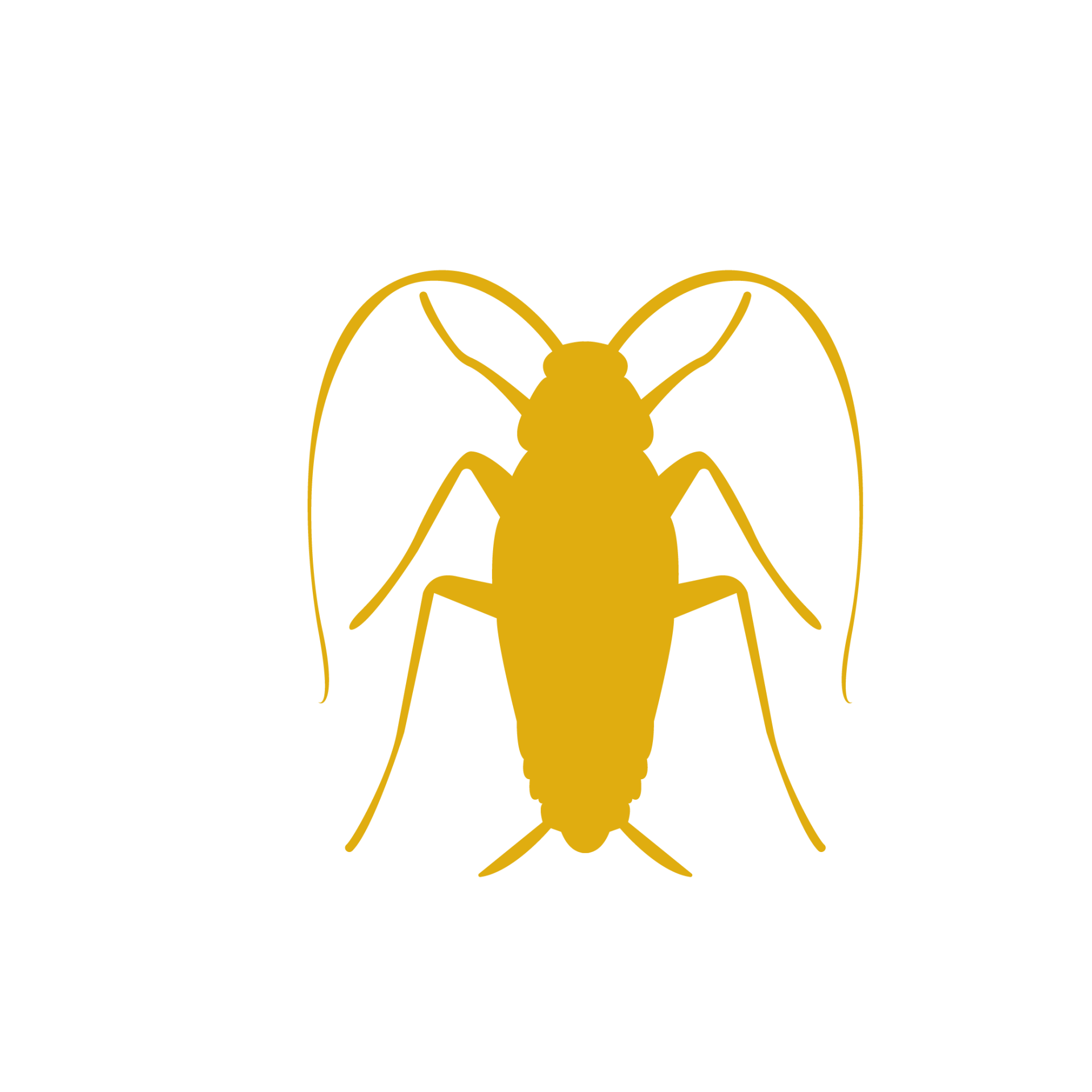 pest control for bed bugs pahrump