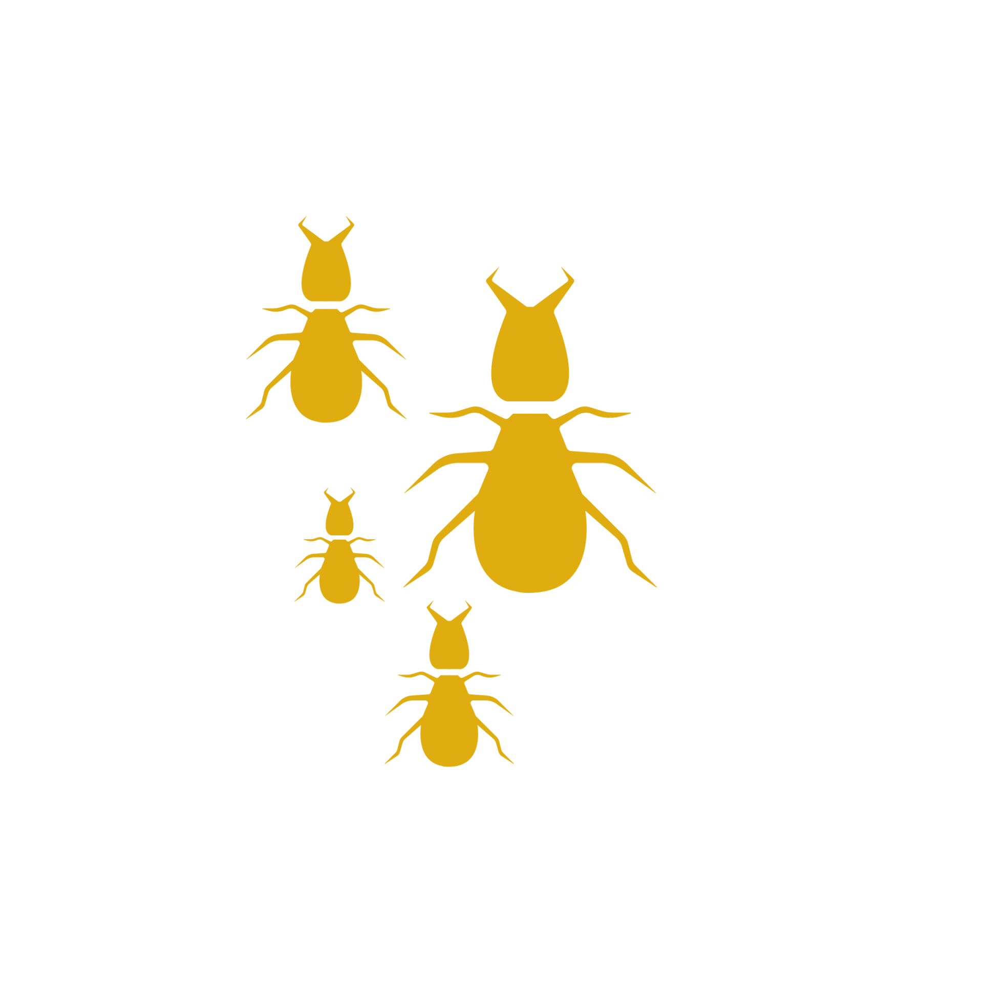 Pest Control Bed Bugs, Termites & More in Pahrump NV