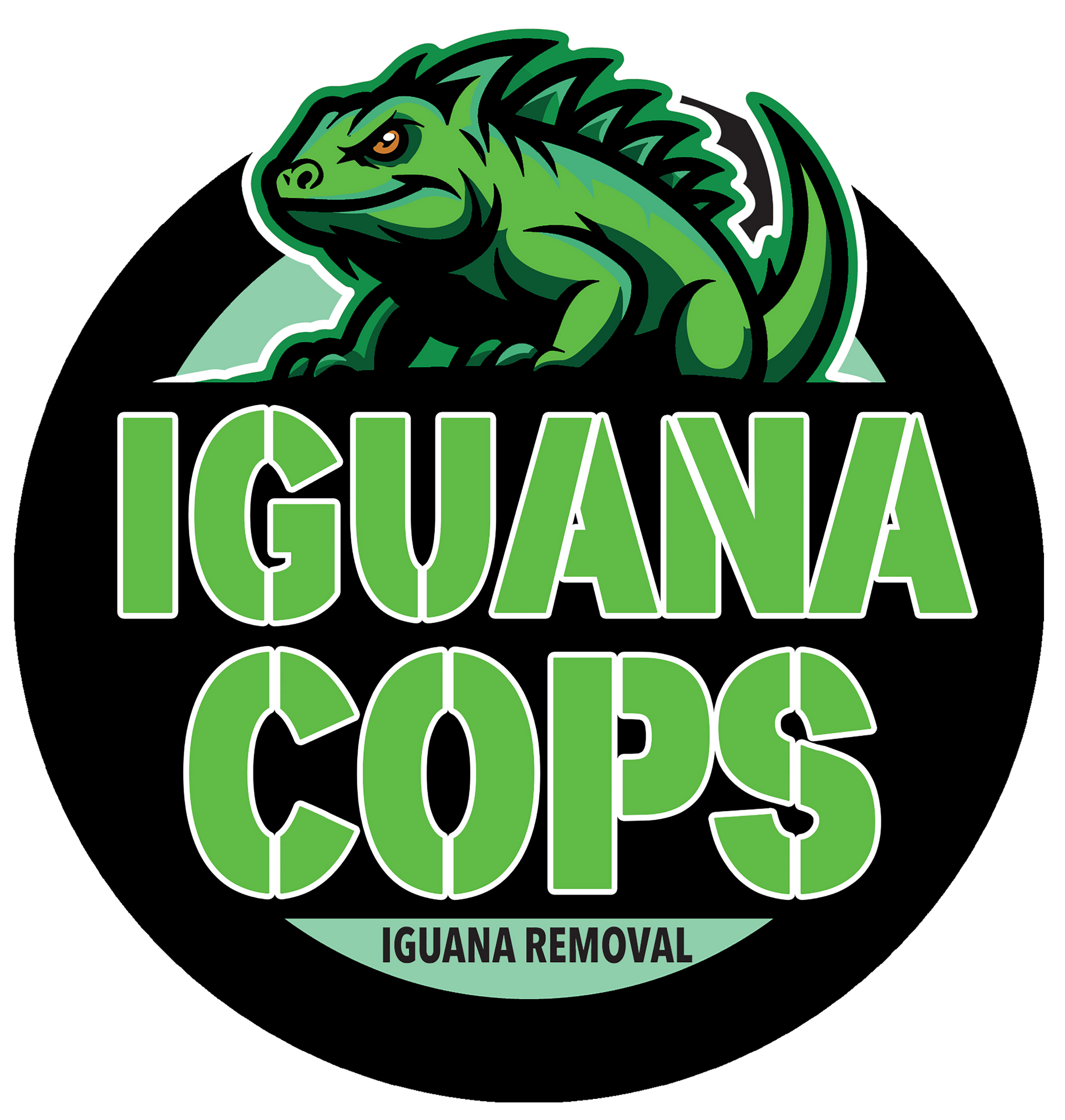Green iguana over the words 