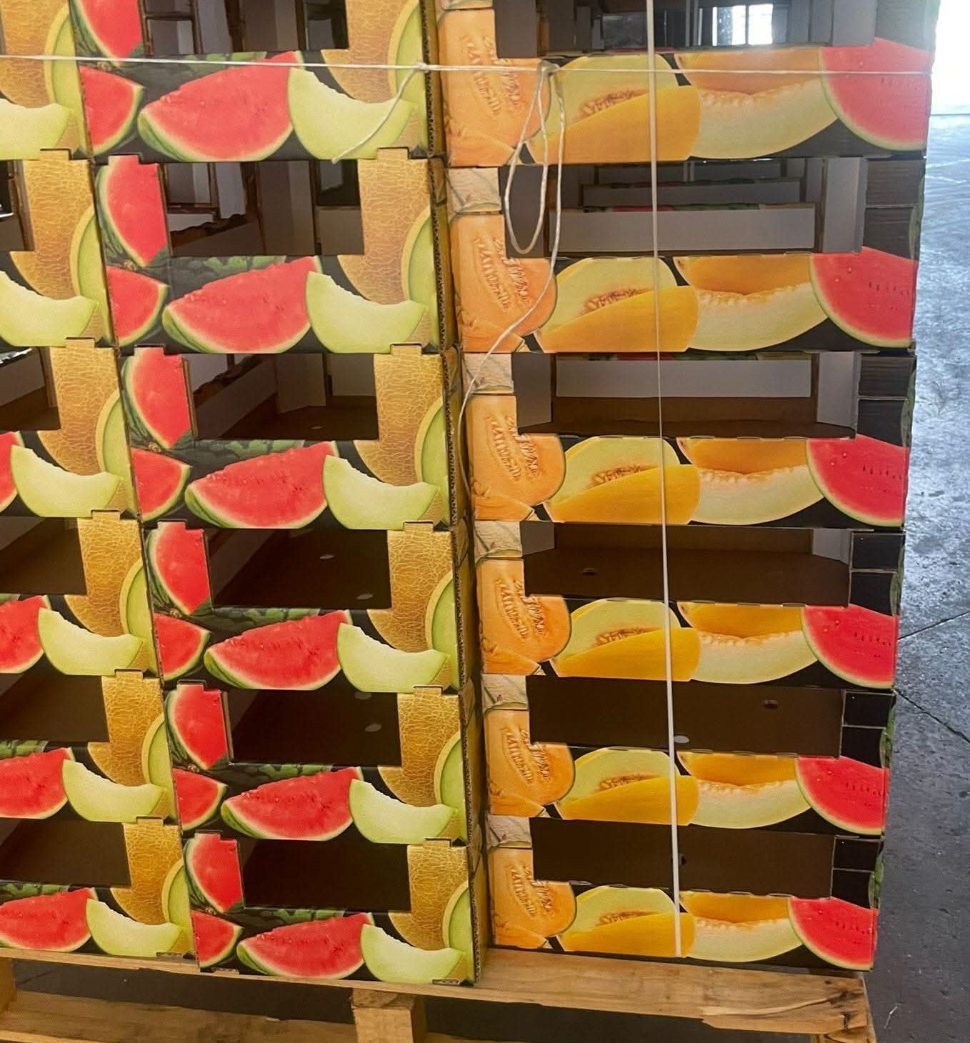 scatole e contenitori