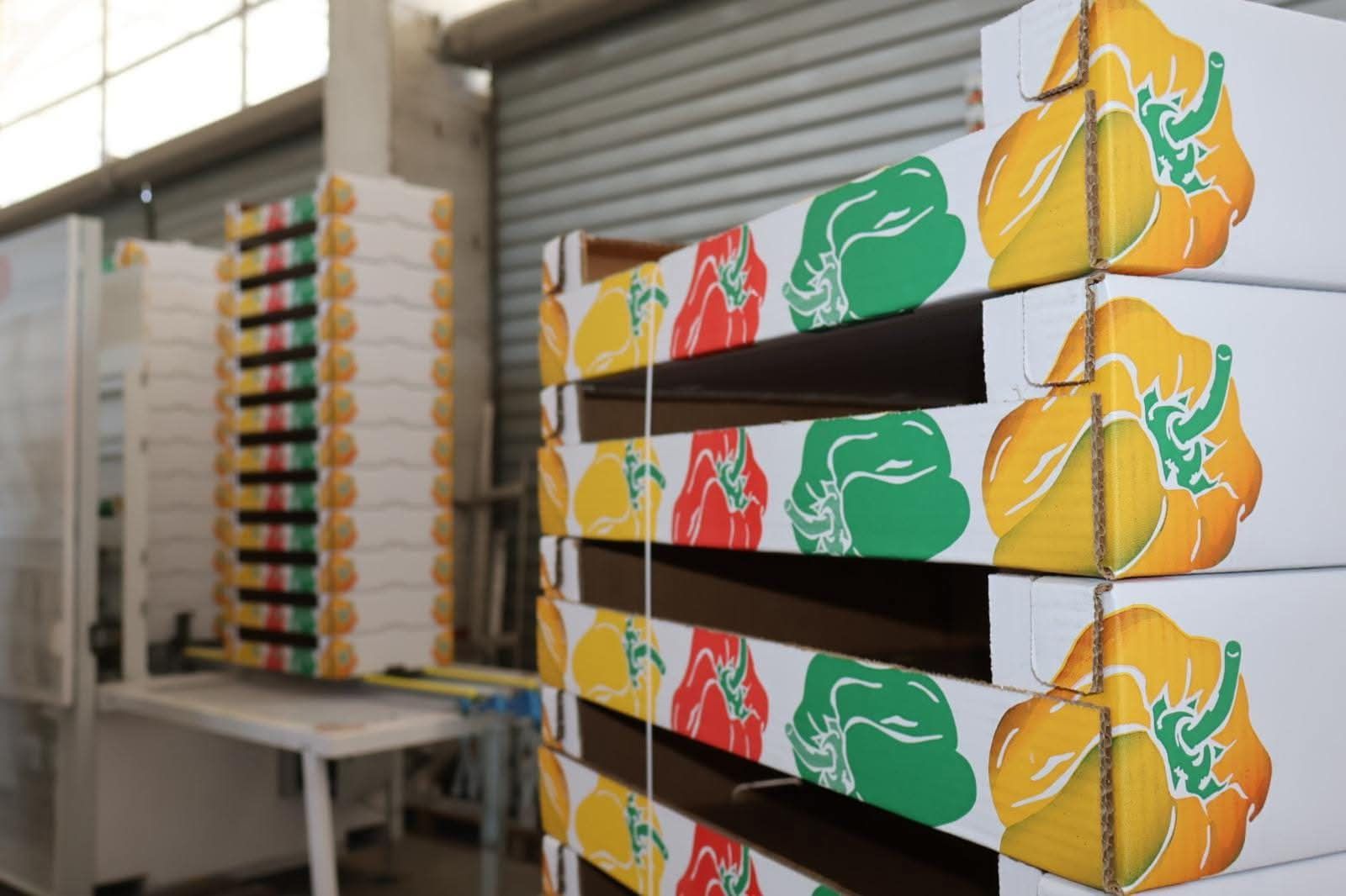 sacchetti, buste e sacchi