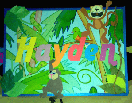 A4 sized card plaque for a child's bedroom door featuring the name Hayden and a jungle scene showing monkeys, jungle plants and snakes