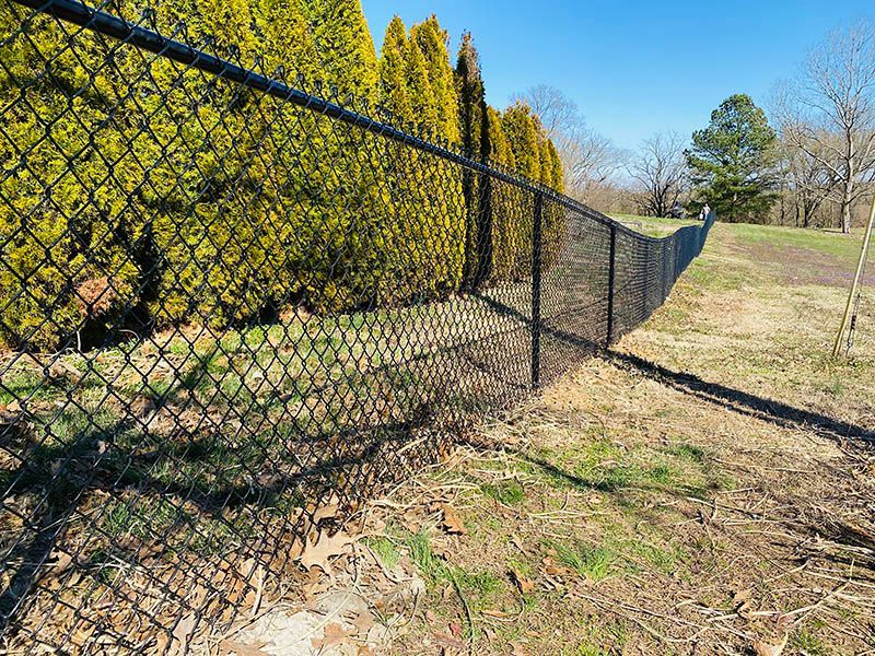 A chain link fence is surrounded by trees in a park.