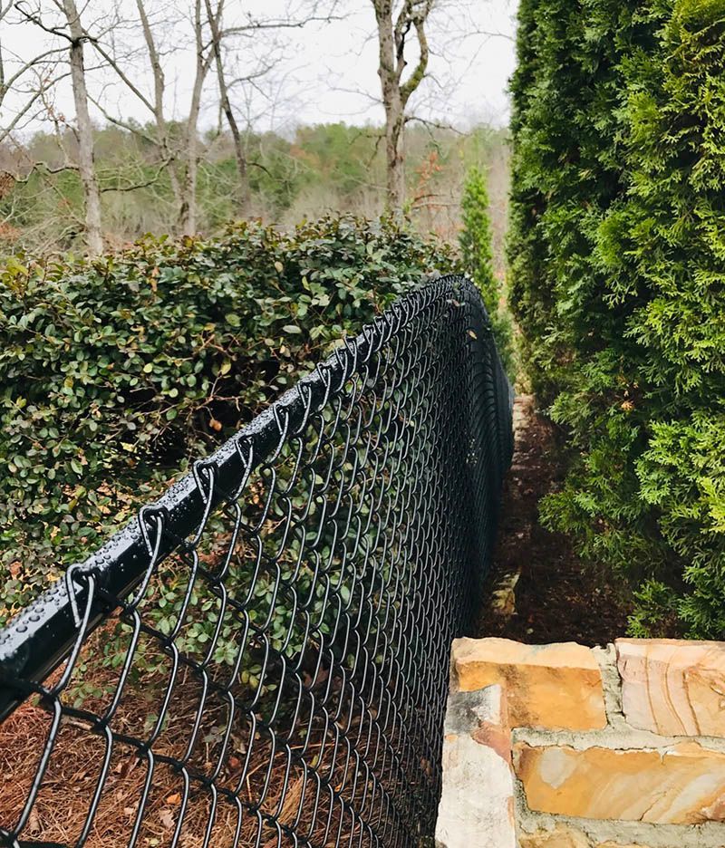 A black chain link fence is surrounded by trees and bushes.
