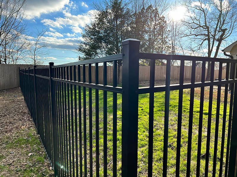 A black metal fence surrounds a grassy yard.