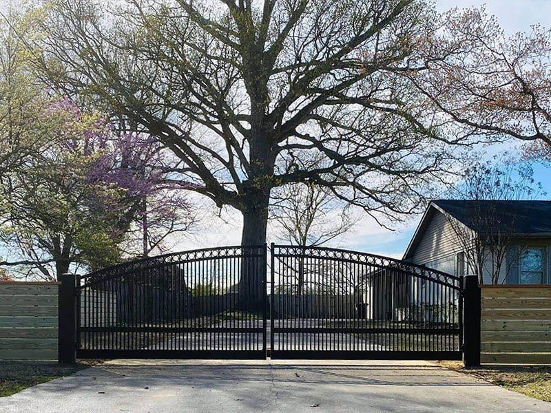 There is a large tree in the middle of the driveway behind the gate.
