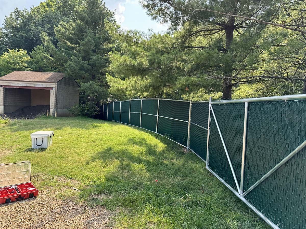 A green fence surrounds a grassy yard with a shed in the background.
