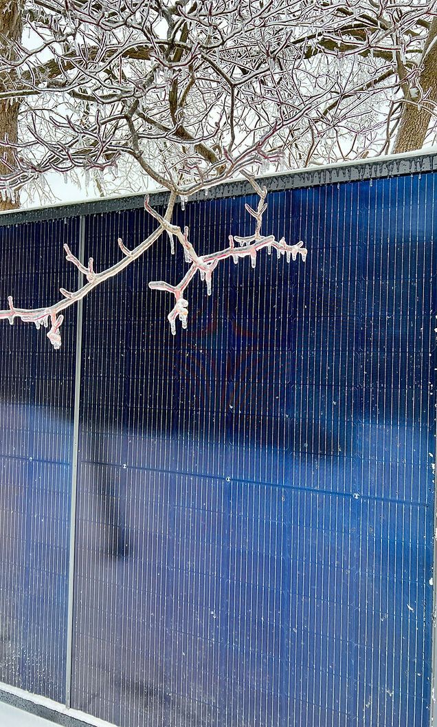 A tree branch is hanging from a solar panel in the snow.