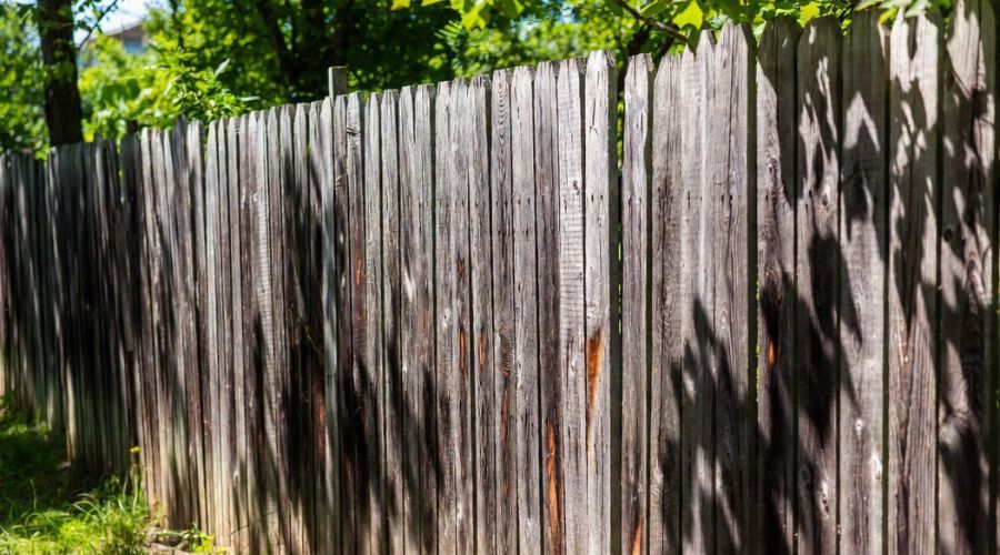 A weathered, gray wooden picket fence stands in front of green trees, with dappled sunlight and shadows casting across it.