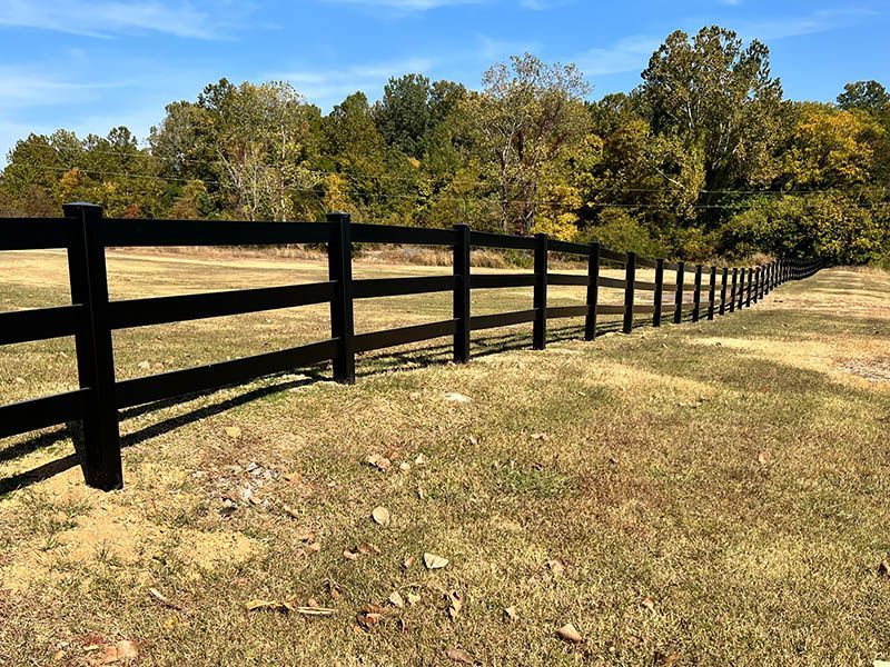 A black fence surrounds a grassy field with trees in the background.