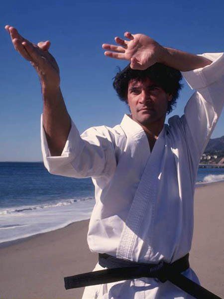 Mike-stone-martial-arts-biography