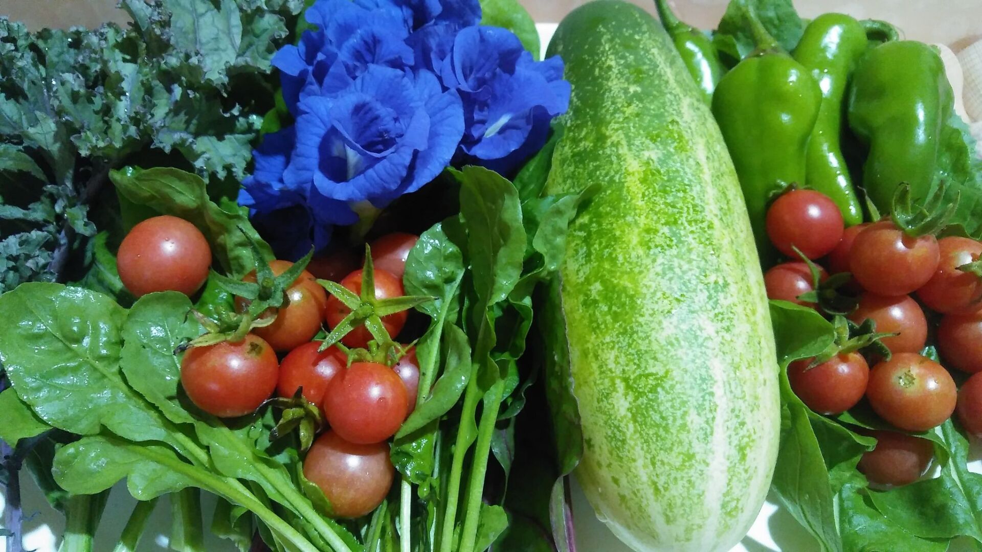 Fresh produce: Kale, cherry tomatoes, blue flowers, cucumber, green peppers, and leafy greens.