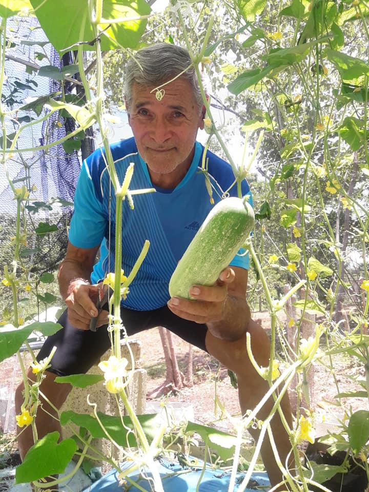 Man holding a cucumber in a garden. He's smiling, wearing a blue shirt, and surrounded by cucumber plants.
