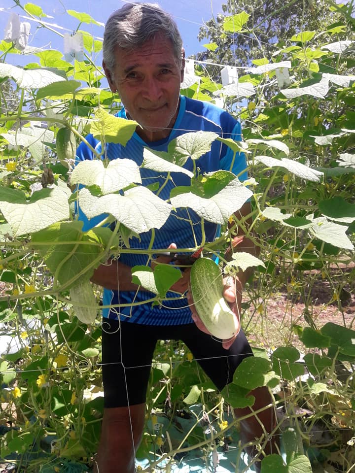 Man holding a cucumber from a garden, surrounded by climbing vines. He's smiling in a blue shirt and black shorts.