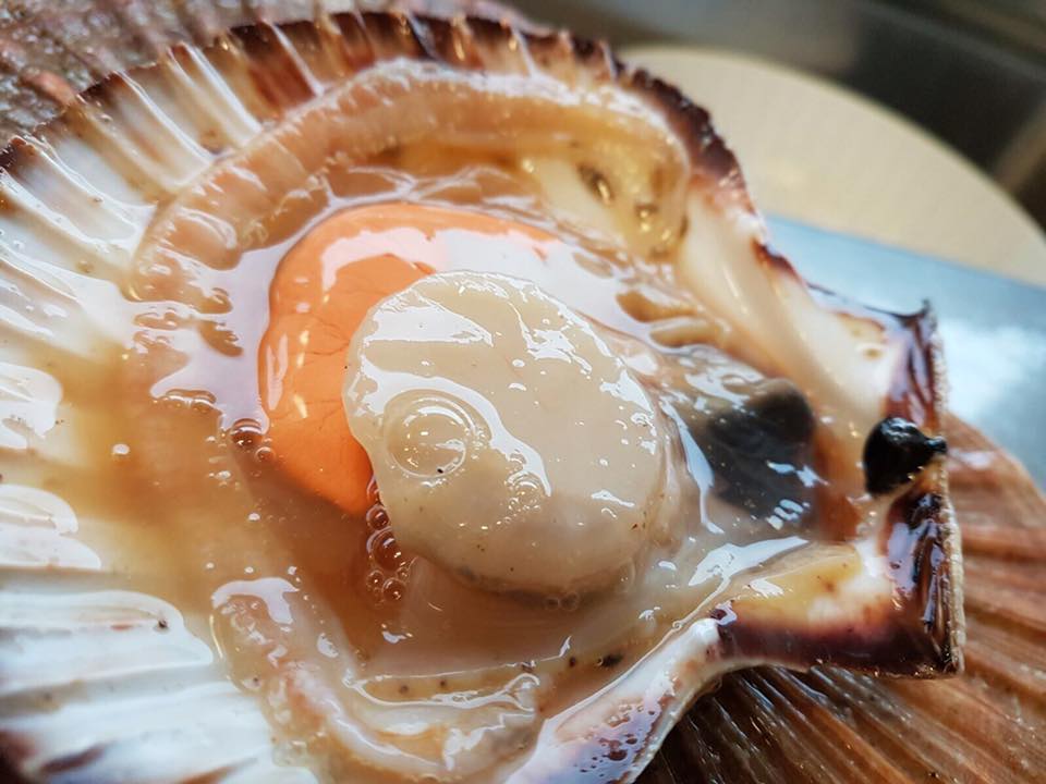 capasanta servita in ristorante di pesce a Treviso e provincia