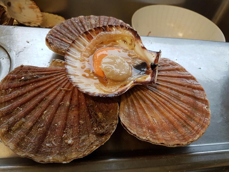 capesante grigliate di un ristorante di pesce a Treviso e provincia