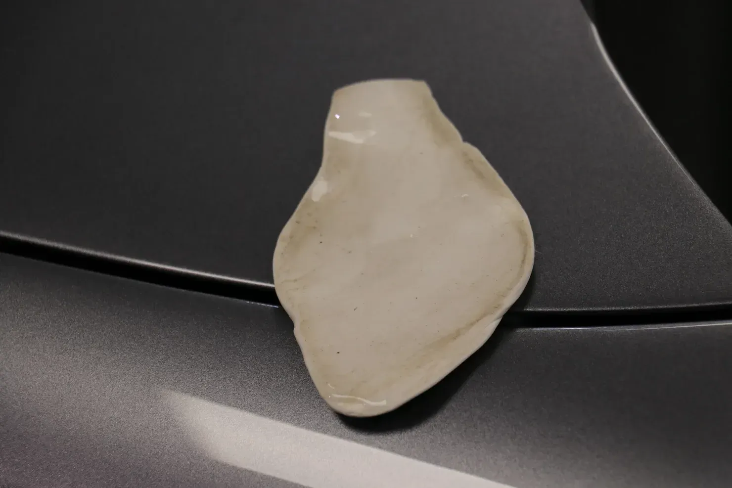 A small, off-white clam shell on a dark gray car surface.