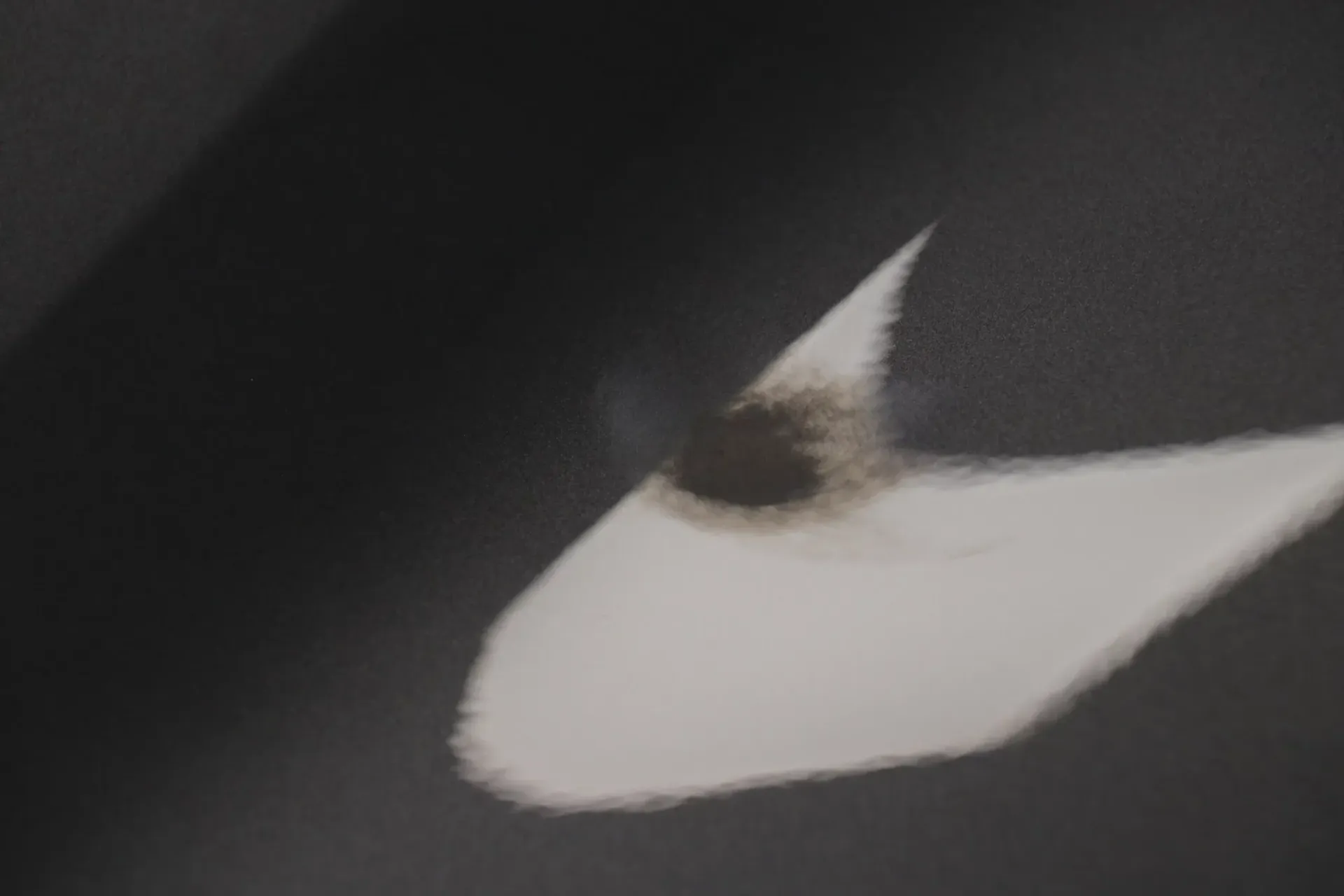 Dark gray background with white, irregular shape and dark brown spot.