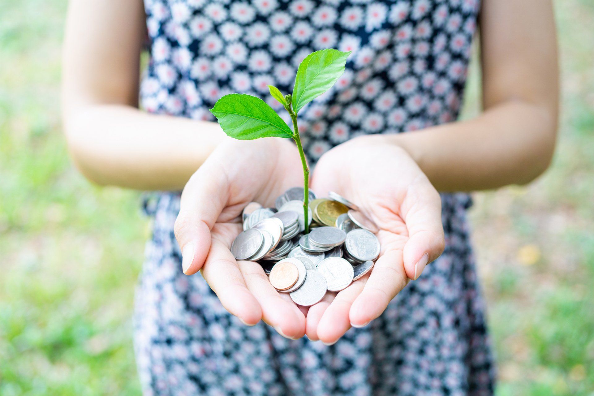 Coins And Plant On A Person Hands — Houston, TX — Next Step Academy