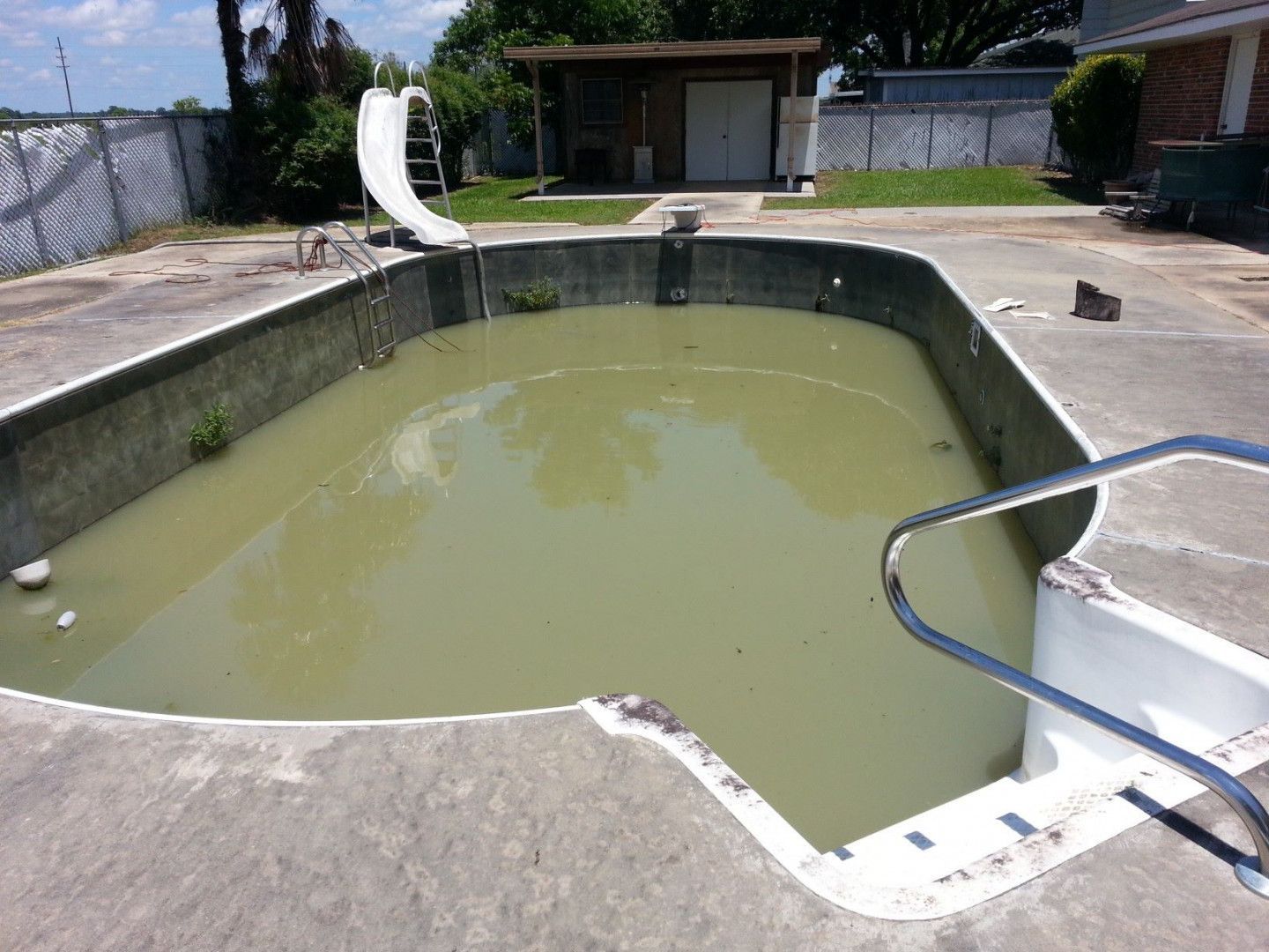 Empty, algae-filled swimming pool with a slide, surrounded by concrete and a chain-link fence.