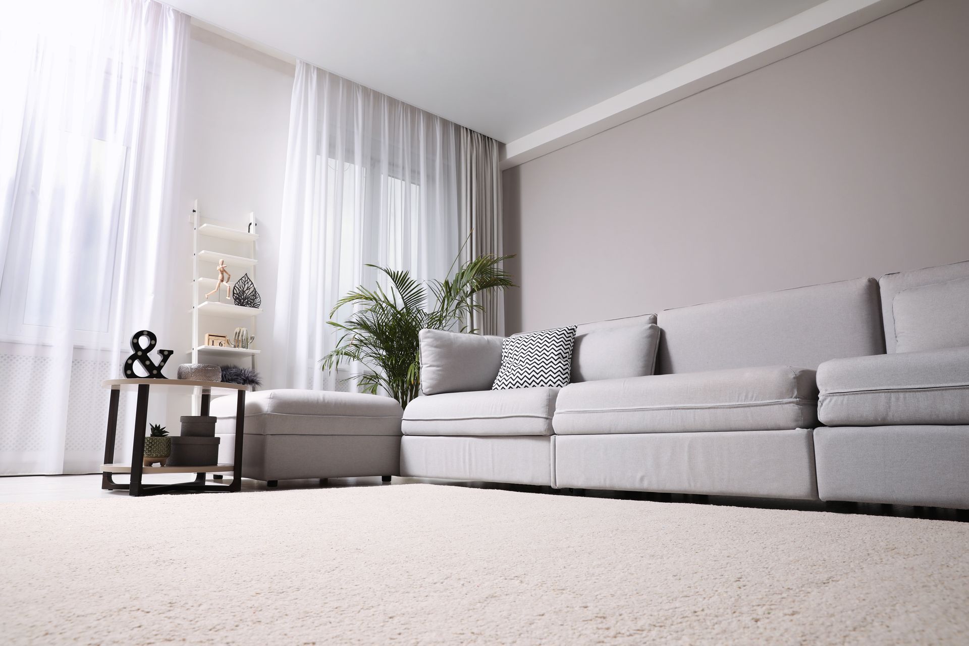 A light-filled living room with a gray sofa, light rug, sheer curtains, and a plant.