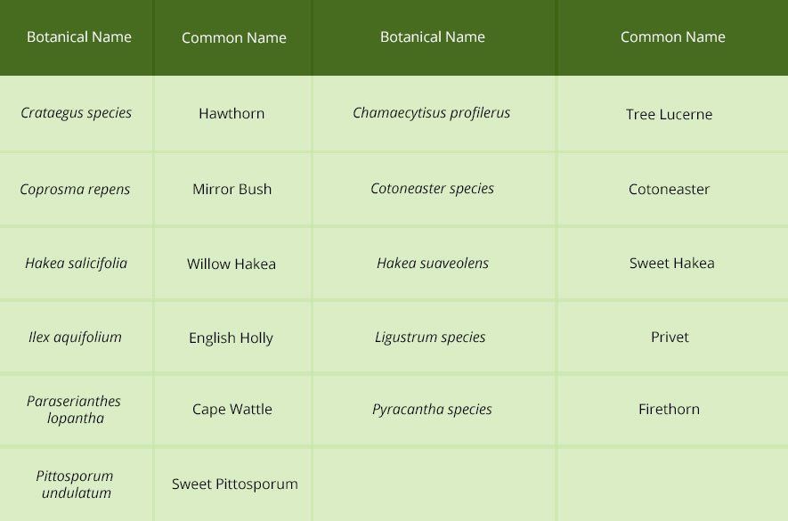 Maroondah Tree Works Permits ArborCraft Tree Services Melbourne, VIC