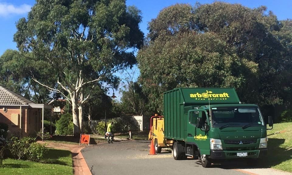 tree removal cost melbourne