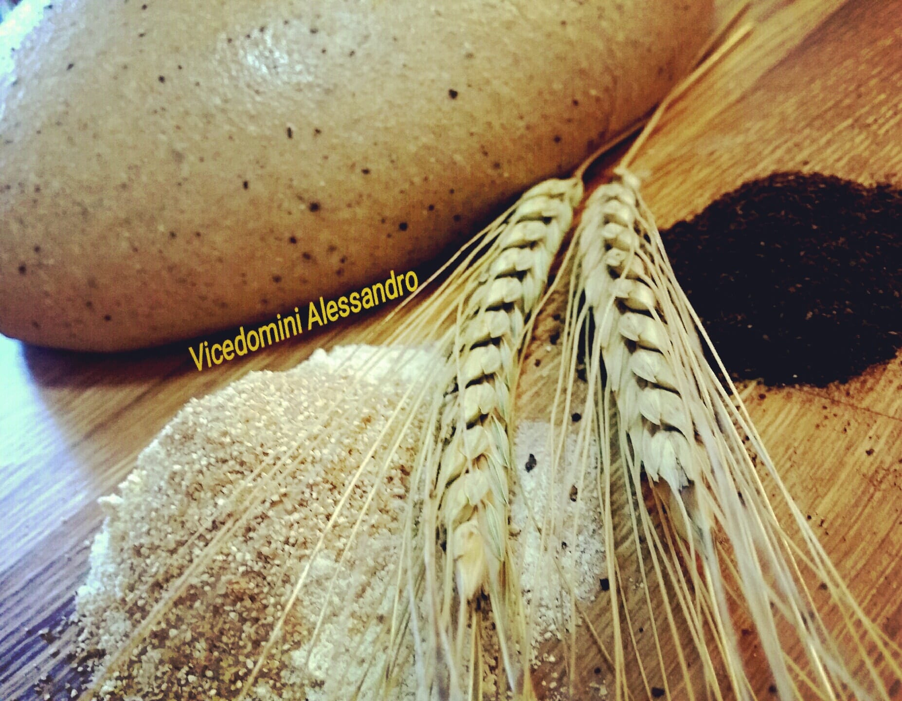 diverse varietà di grano esposte durante una lezione