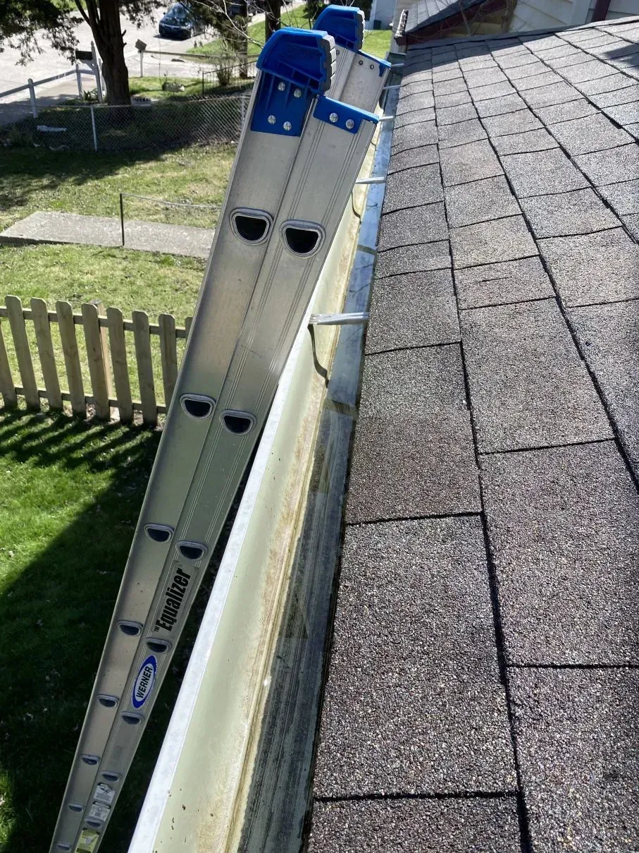 Ladder leaned against a gutter on a house. The ladder is silver and blue.