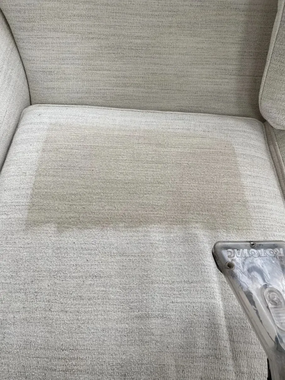 A beige upholstered couch cushion being cleaned with a carpet cleaner; the area is lighter after cleaning.
