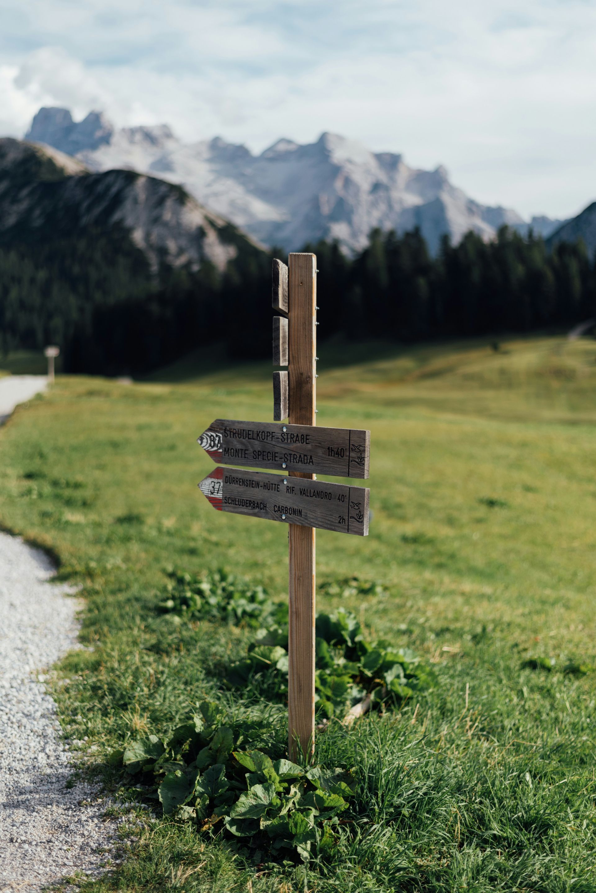 A wooden sign in the middle of a grassy field with mountains in the background.