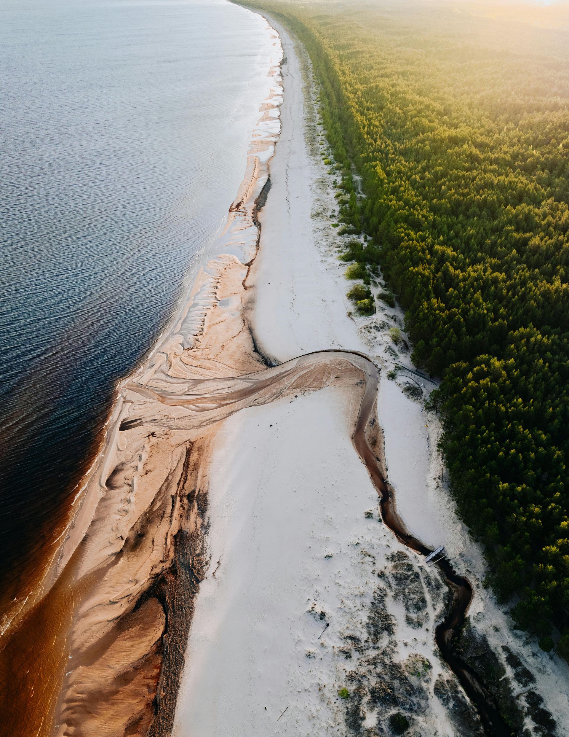 An aerial view of a sandy beach next to a body of water surrounded by trees.