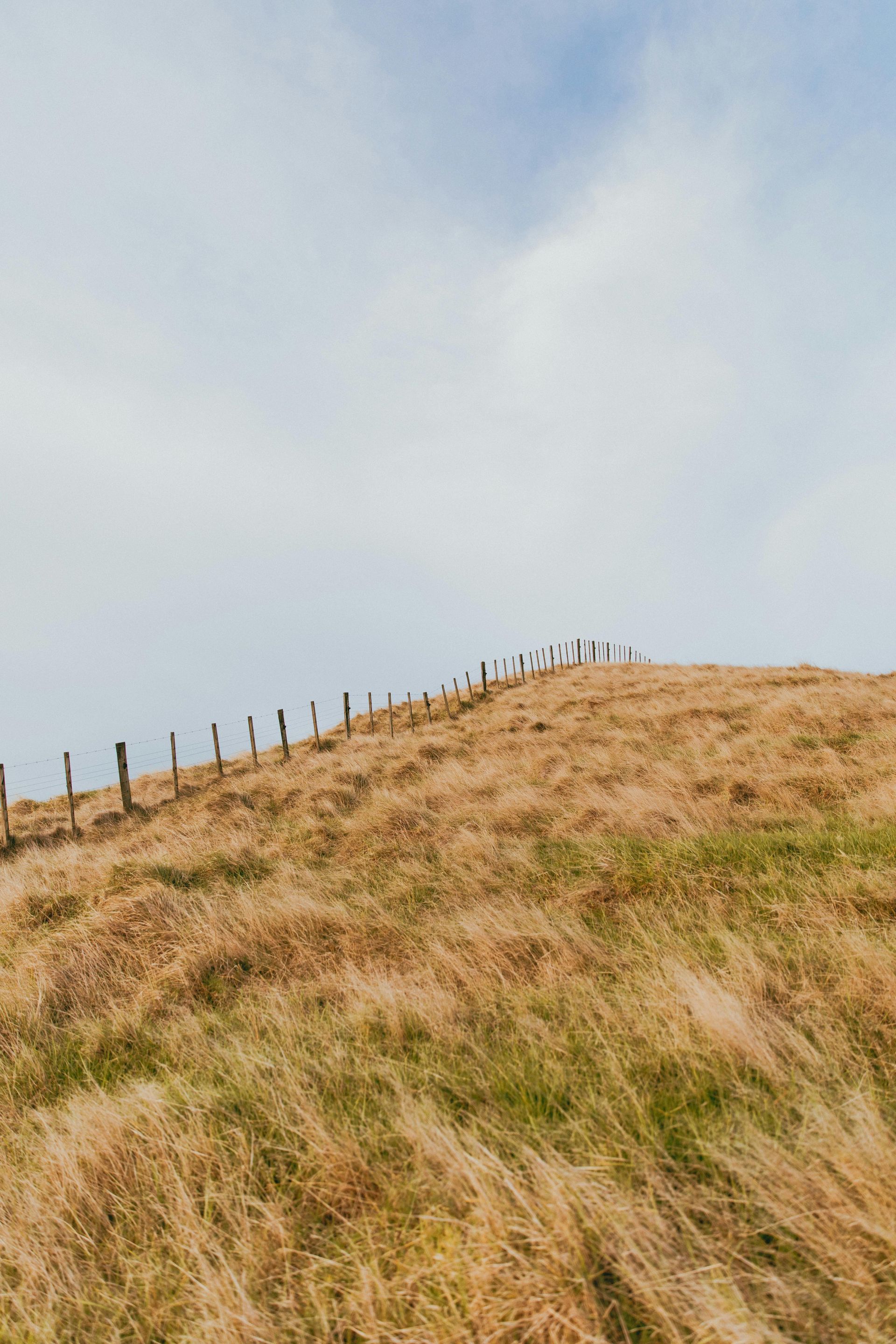 A fence surrounds a grassy hill with a blue sky in the background.