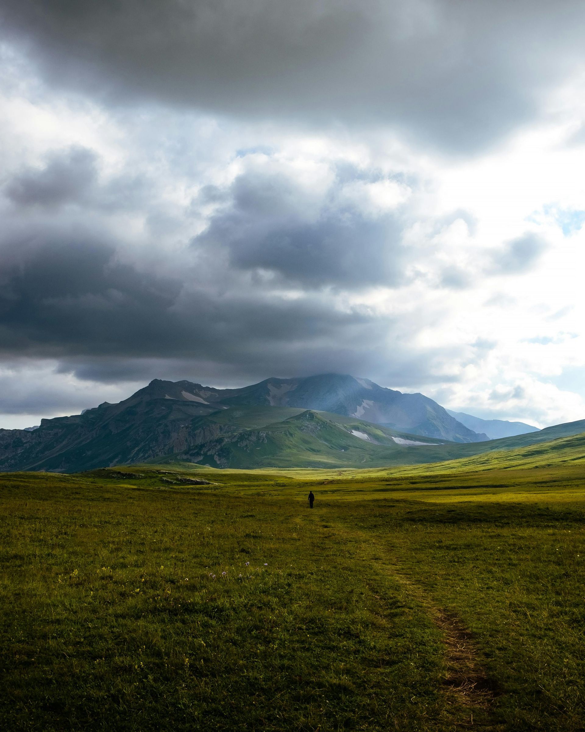 A forest in the mountains with a snowy mountain in the background.
