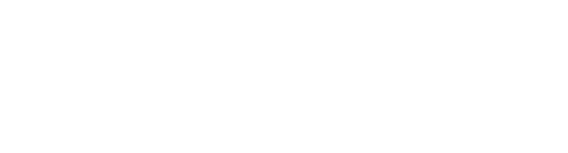 1mm logo
