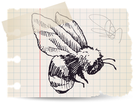 Illustration of a honey bee on an aged piece of paper